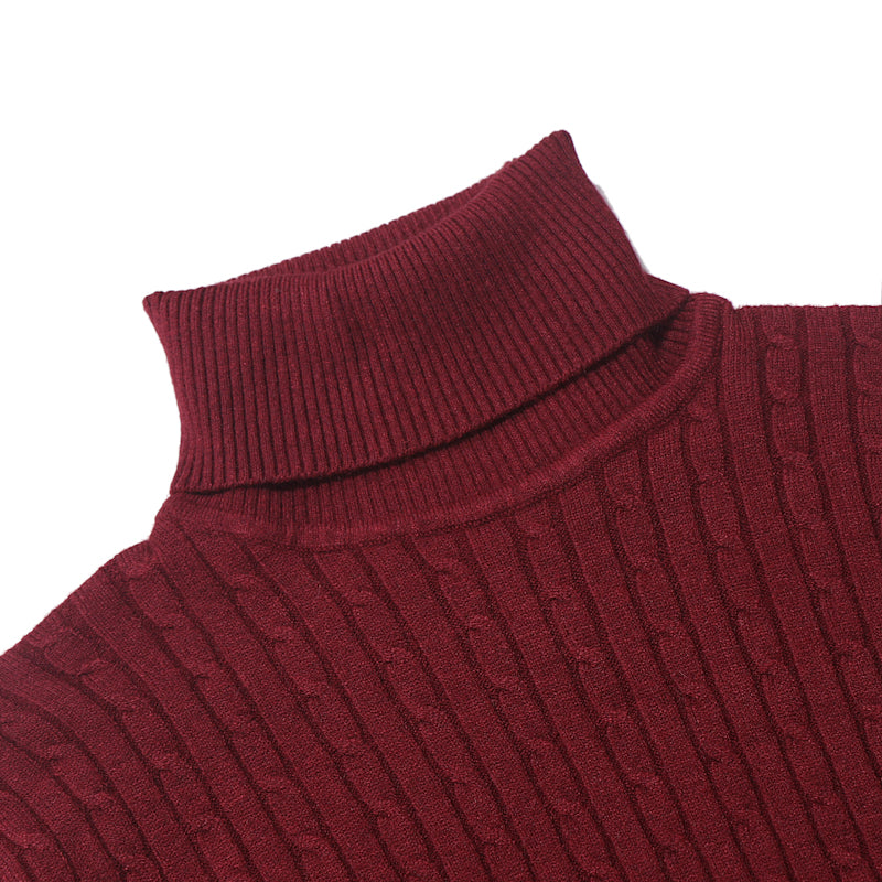 Men's Turtleneck Striped Sweater Knit Multicolor