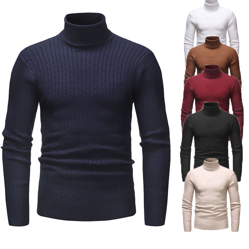 Men's Turtleneck Striped Sweater Knit Multicolor