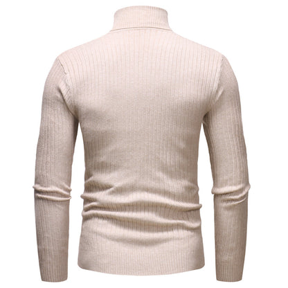 Men's Turtleneck Striped Sweater Knit Multicolor
