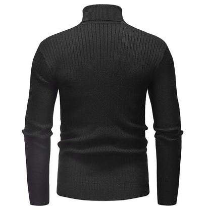 Men's Turtleneck Striped Sweater Knit Multicolor