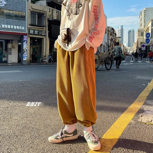 saferido Spring Men's Corduroy Fabric Casual Pants Velvet Hip Hop Harem Pants Joggers Sweatpants Streetwear Mens Fashion Trousers
