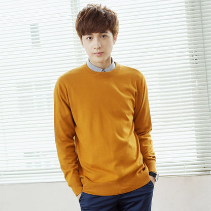 Men's Sweaters Cashmere Blend Knitting V-neck Pullovers Hot Sale Spring&Winter Male Wool Knitwear High Quality jumpers Clothes