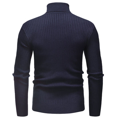 Men's Turtleneck Striped Sweater Knit Multicolor