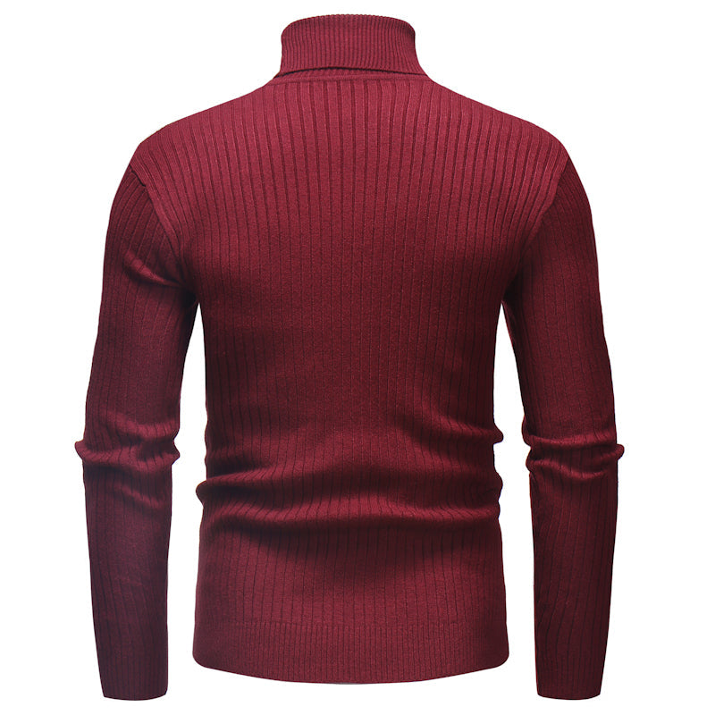 Men's Turtleneck Striped Sweater Knit Multicolor