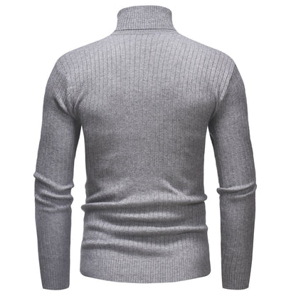 Men's Turtleneck Striped Sweater Knit Multicolor