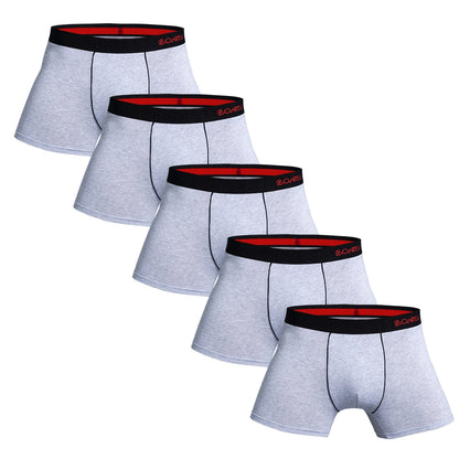 5pcs Pack Men Panties Cotton Underwear Male Brand Boxer And Underpants For Homme Lot Luxury Set Sexy Shorts Gift Slip Sale