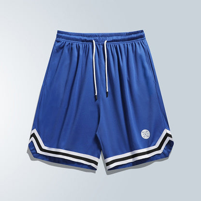 Men's Summer Mesh Sports Shorts Basketball Fitness Speed Dry Running Breathable Shorts Casual Loose Large Size Bermuda Shorts