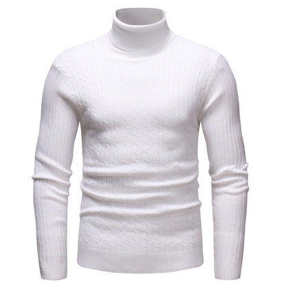 Men's Turtleneck Striped Sweater Knit Multicolor
