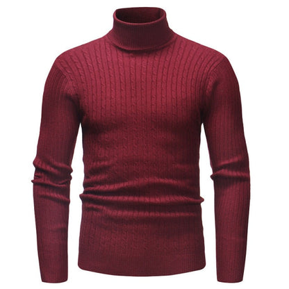 Men's Turtleneck Striped Sweater Knit Multicolor
