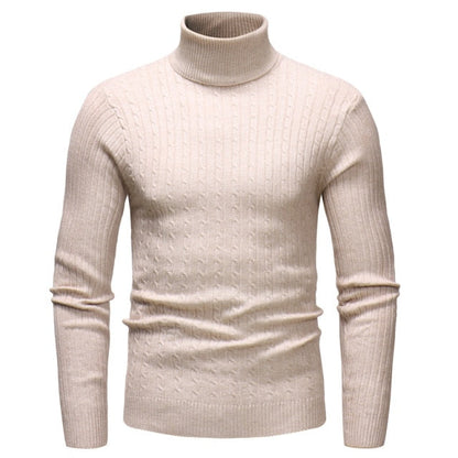Men's Turtleneck Striped Sweater Knit Multicolor